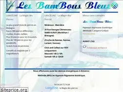 Sites similar to lesbambousbleus.fr