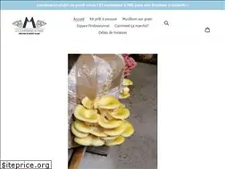 Sites similar to leschampignonsdemarie.com