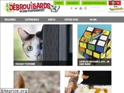 Sites similar to lesdebrouillards.com