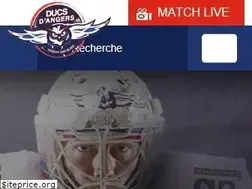 Sites similar to lesducsdangers.fr
