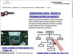 Sites similar to lesexpertsmagento.fr