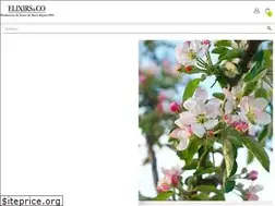 Sites similar to lesfleursdebach.com