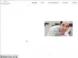 Sites similar to leshallesdetours.fr