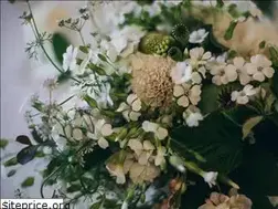 Sites similar to lespetitesfeesdumariage.com