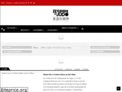 Sites similar to lespritdujudo.com