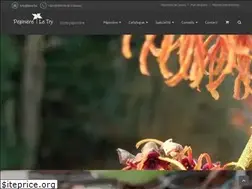 Sites similar to letry.be