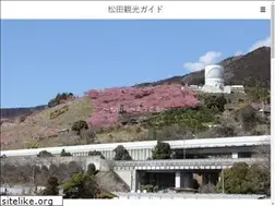 Sites similar to letsgo-matsuda.com
