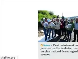 Sites similar to leveil.fr