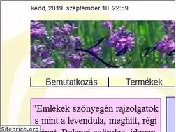 Sites similar to levendulakert.hu