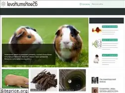 Sites similar to levokumskoe26.ru