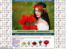 Sites similar to leylacicek.com