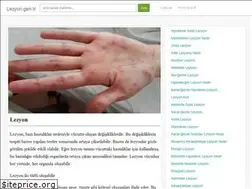Sites similar to lezyon.gen.tr