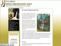 Sites similar to lhladnerblackmouthcurs.com