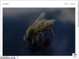 Sites similar to liacaldas.com