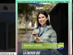 Sites similar to liceoindustrialegm.cl