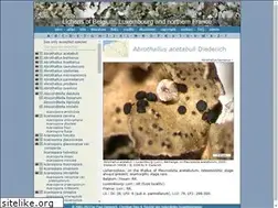 Sites similar to lichenology.info