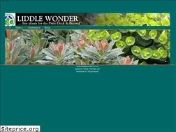 Sites similar to liddlewonder.nz