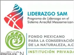 Sites similar to liderazgosam.org