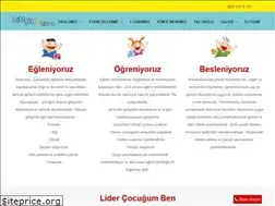 Sites similar to lidercocukanaokulu.com