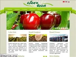 Sites similar to lidergida.com.tr