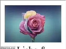 Sites similar to liebeundromantik.de