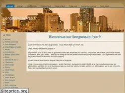 Sites similar to liengrossiste.free.fr