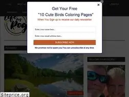 Sites similar to lifeasrog.com