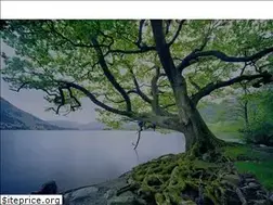 Sites similar to lifedrs.com