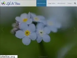 Sites similar to lifeinvision.com