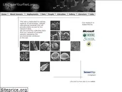 Sites similar to lifeunderyourfeet.org