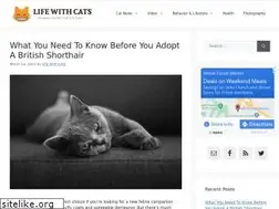 Sites similar to lifewithcats.tv