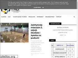 Sites similar to liga.frysztak.pl
