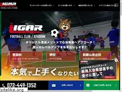 Sites similar to ligar-football.com