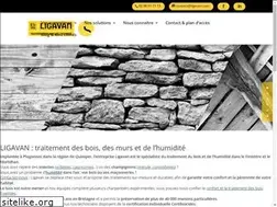 Sites similar to ligavan.com