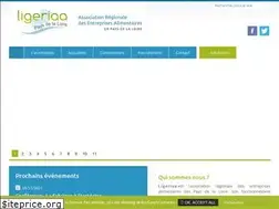 Sites similar to ligeriaa.fr