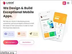 Sites similar to ligerinfotech.com