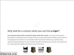 Sites similar to ligerpartners.com