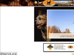 Sites similar to lightningflashsetters.com