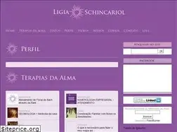 Sites similar to ligiaschincariol.com.br