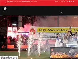 Sites similar to ligmaratonu.com