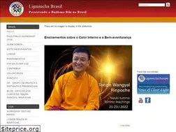 Sites similar to ligmincha.com.br