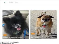 Sites similar to ligseruveni.com