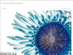 Sites similar to liittschwager.com