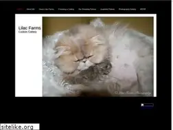 Sites similar to lilacfarmscattery.com