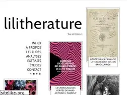 Sites similar to lilitherature.com