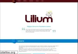 Sites similar to liliumreklam.com