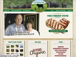 Sites similar to lilponderosabeef.com