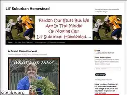 Sites similar to lilsuburbanhomestead.wordpress.com