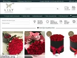 Sites similar to lilycicek.com