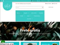 Sites similar to lilydecoracoes.com.br